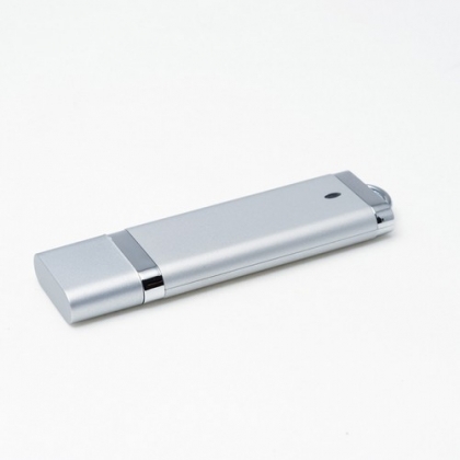 Usb flash drive WASHINGTON - SILVER